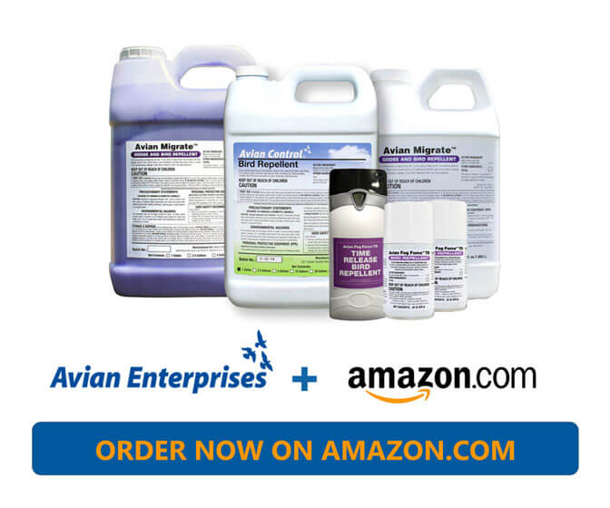 Avian Enterprises